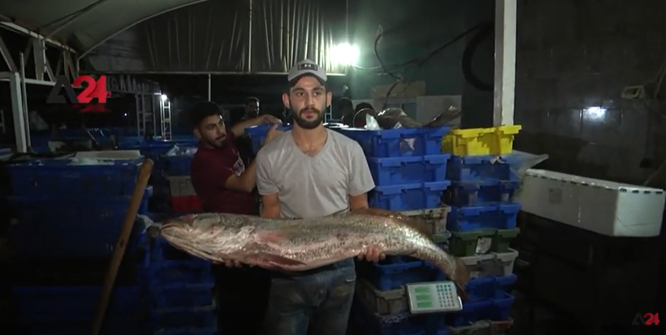سوق السمك في غزة